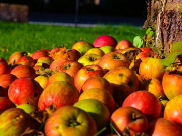 Bild 6 aus  Hofgut Unterbach