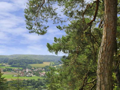 Bild 5 aus  Ferienhof  Schmidtner