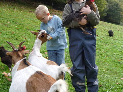 Bild 23 aus  Wellness-Bauernhof Eulersbacher Hof