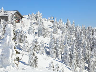 Bild 27 aus  Paulas Bauernhof im Bayerischen Wald