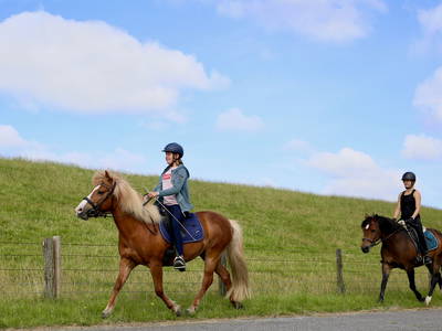 Ausritt mit den Ponys am Deich