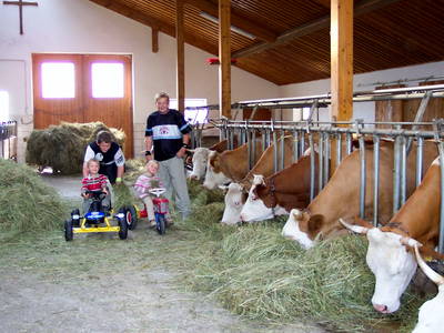 Bild 27 aus  Haberlhof