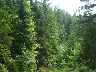 Rundweg Unterhöfenhof