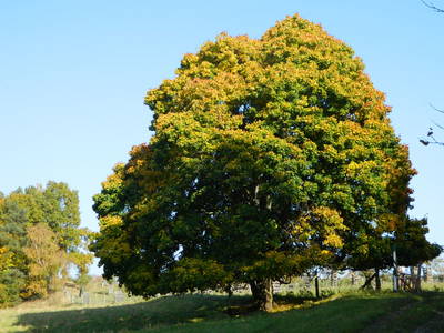 Bild 23 aus  Behringhof am Gamengrund