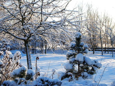 Bild 80 aus  Lindenhof