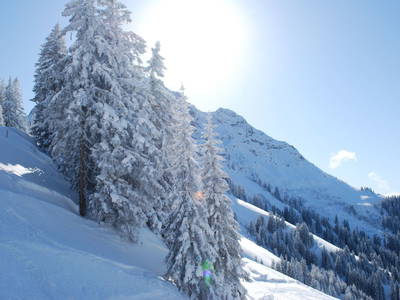 Bild 38 aus  Erlebnisgut Oberhabach