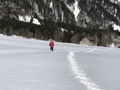 Bild 36 aus  Margreitterhof