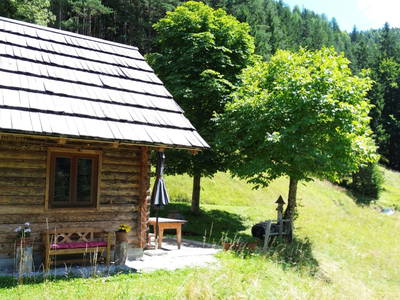 Bild 81 aus  Almhütte Meierle