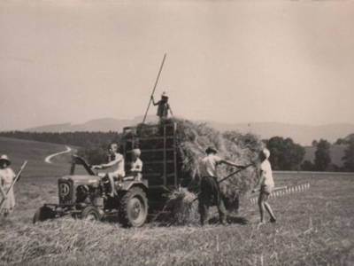 Bild 10 aus Kinderparadies Bachbauer