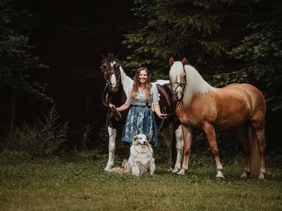 Bild 2 aus  Pferdehof Rupitsch