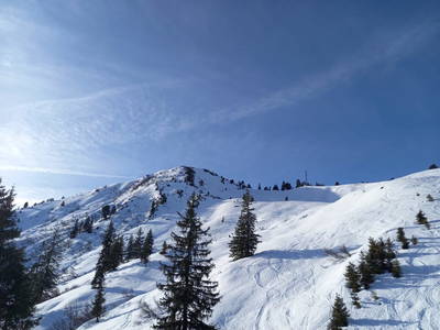 Bild 33 aus  Feuerlehof