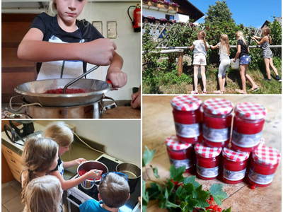 Bild 112 aus  Ferienwohnungen Lichtenegger 