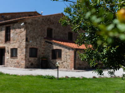 Bild 18 aus  Tenuta Il Cicalino