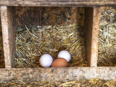 Bild 99 aus  Maierlehen