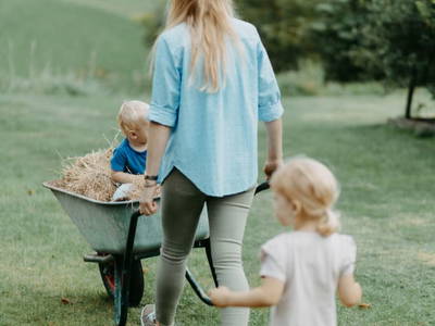 Bild 38 aus  Biohof Greflgut