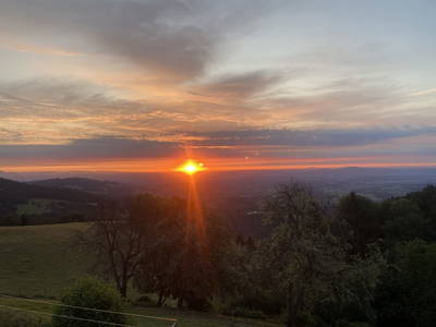 Bild 231 aus  Seewaldhof