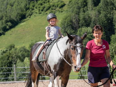 Bild 8 aus  Bio Bauernhof Tobhartbauer