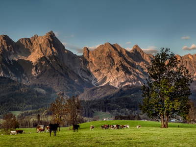 Bild 141 aus  Hoferbichlgut