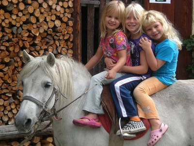 Bild 37 aus  Bio-Ferien-Bauernhof MOARBAUER