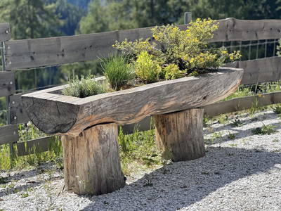 Bild 69 aus  Reiterbauer Chalet