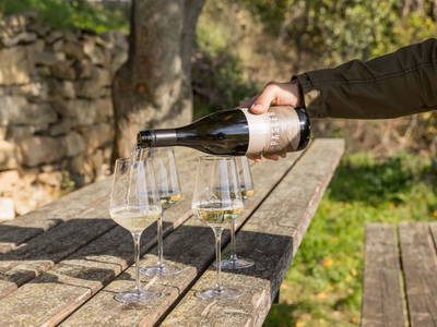 Bild 11 aus  Weingut Pasler