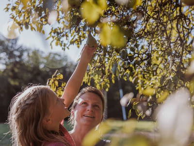 Bild 90 aus  Hofstatt Salzburg Ferienhaus 