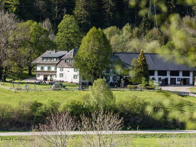 Bild 2 aus  Pension-Kobichl