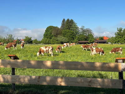 Bild 28 aus  Rummelbartlhof