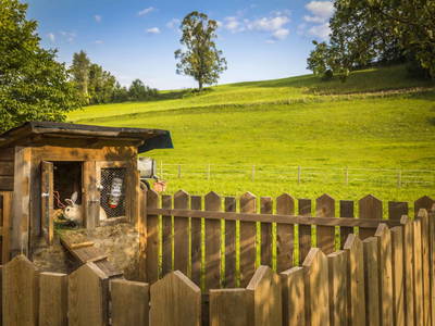 Bild 22 aus  Bio Bauernhof Paulbauer