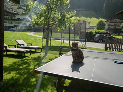 Bild 9 aus Astlhof