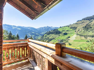 Bild 62 aus  Palfenhof