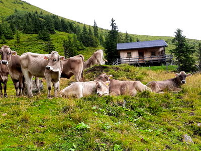 Bild 17 aus Christerbauerhof