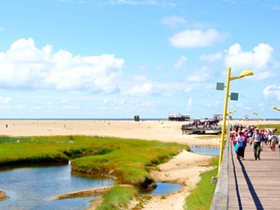 Bild 47 aus  Ferienhof Peter -  Ponys - streicheln, striegeln, füttern  -  Wattwanderungen + ganz viel Nordsee