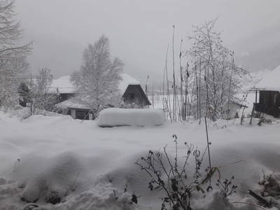 Bild 43 aus  Hof Wieser - Kinderbauernhof