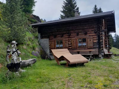 Bild 39 aus Neudegg Heimalm