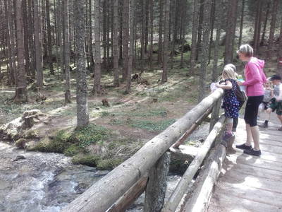 Bild 41 aus  Grassleralm