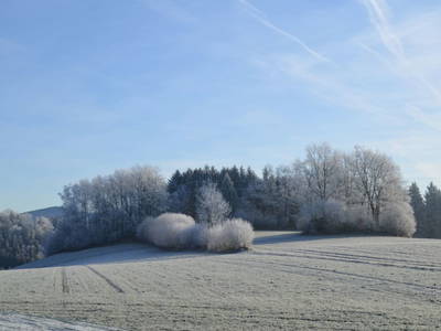 Bild 81 aus  Obergrafenberger