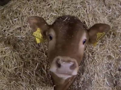 Bild 53 aus  Seewaldhof