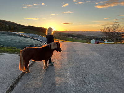 Bild 203 aus  Landhaus  Aigner 