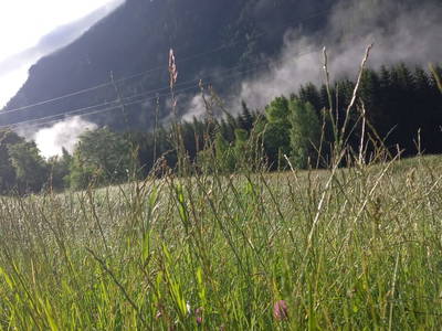 Bild 25 aus  Artlieb