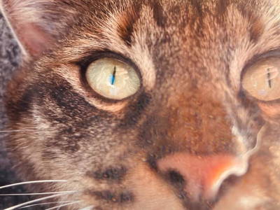 Bild 193 aus  Rafting Camp Palfau