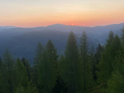 Bild 246 aus Neuwirth Hütte