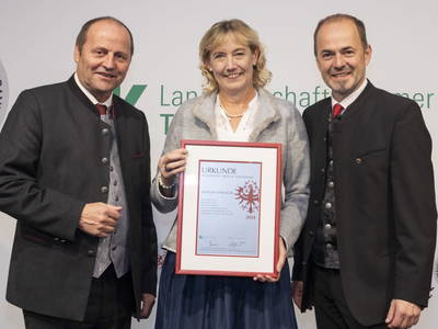 Bild 102 aus  Greidlhof Appartements