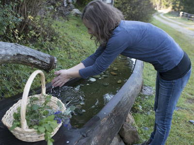 Bild 15 aus  Brandnerhütte