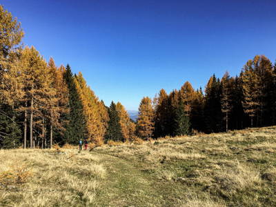 Bild 8 aus  Fichtenhof