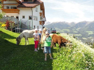 Bild 24 aus  Pirchnerhof