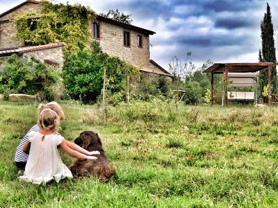 Bild 9 aus  Rifugio Seremus