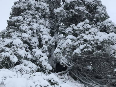 Bild 43 aus  TANAs Almhütte