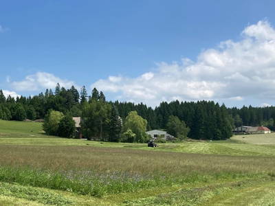 Bild 2 aus  Huber Hof