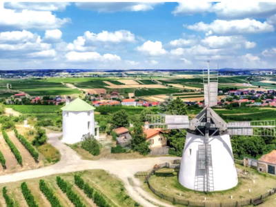 Bild 93 aus  Ferienhaus Weinviertel